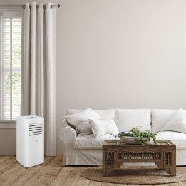 Climatisation mobile idéale pour les environnements petits et moyens