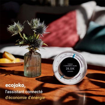 Découvrez Ecojoko l'assistant connecté d'économies d'énergies !