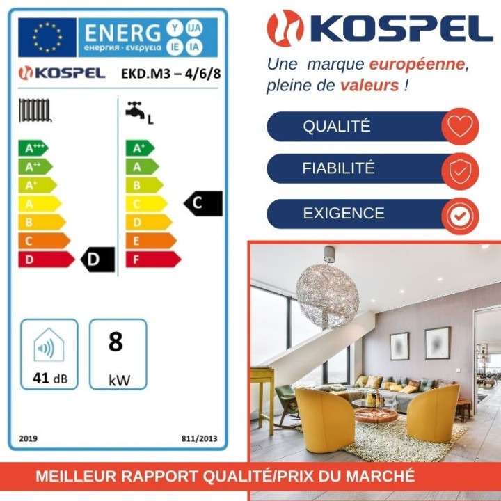 Chaudière électrique chauffage et eau chaude sanitaire 4 à 24 kW