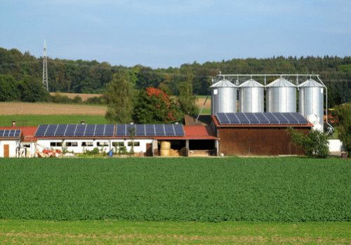Installer des panneaux photovoltaïques sur un bâtiment agricole : une bonne idée ?  Autoconsommation ou revente totale ?